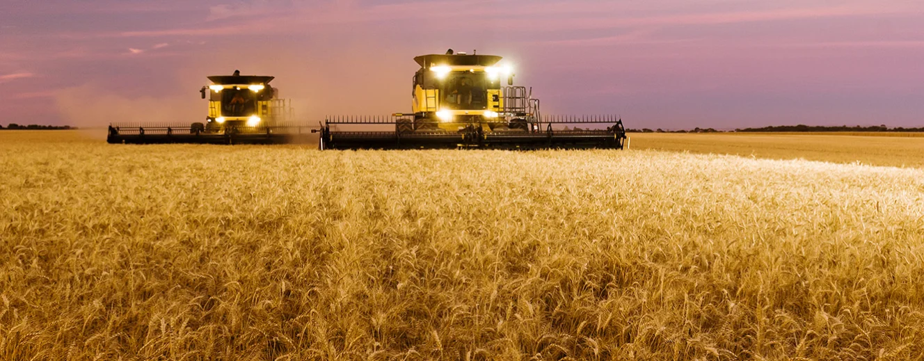 111205_VITERRA_HARVESTING_SUNSET_BALAKLAVA_215.jpg