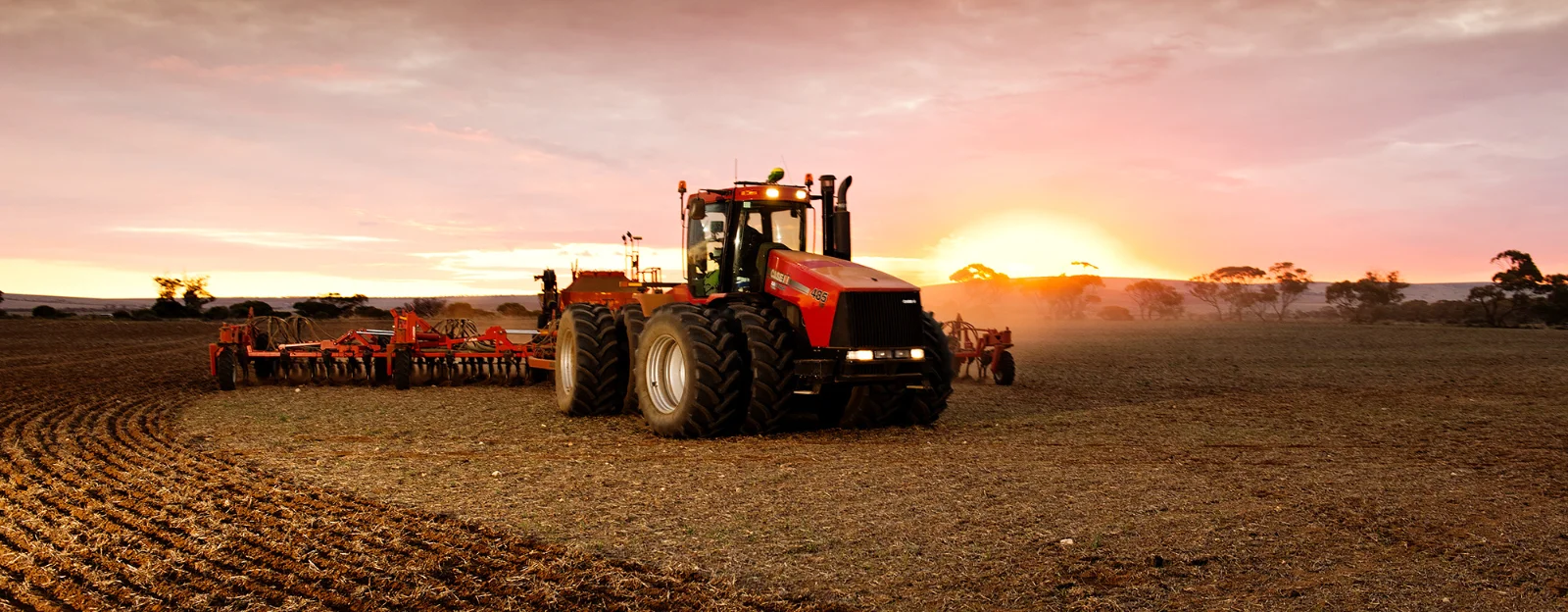 Planting survey website banner_small 2.jpg