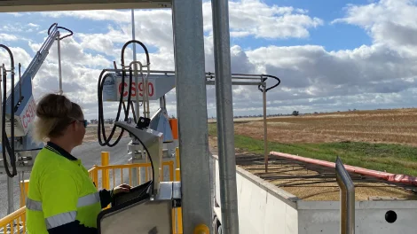 Bunge employee, Skye Sweeney probing the first delivery to our upgraded Wolseley site at the new classification centre_web.jpg