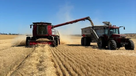 An on-farm image from Inglebrae Holdings, who made the first Eastern region delivery On farm - Inglebrae Holdings.jpg