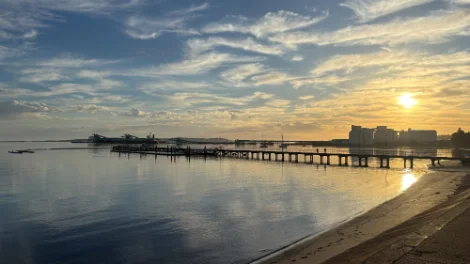 Bunge’s first shipment for the 2025.26 season ready to depart from Port Lincoln_web.jpg