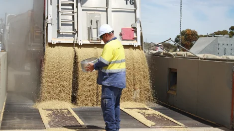 First load of grain in the Eastern region being received by Operator Jason Duthie. 201027 news 2.jpg