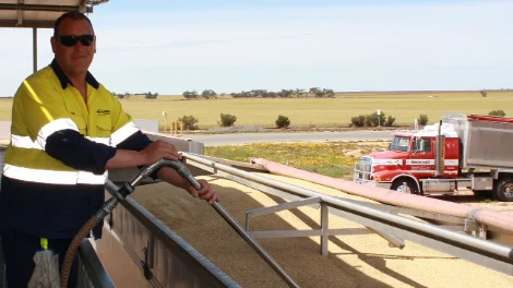 Viterra Operator Chad Thompson receiving Loxton’s first load for the season. 27102020 report.jpg