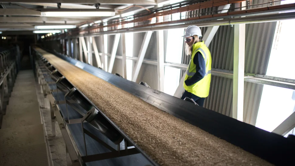 Food feed safety banner.jpg