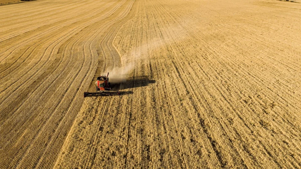 Postharvest survey_website banner.jpg
