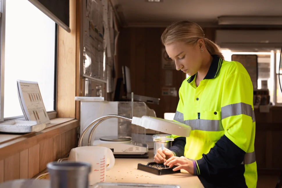 Career opportunities banner.png