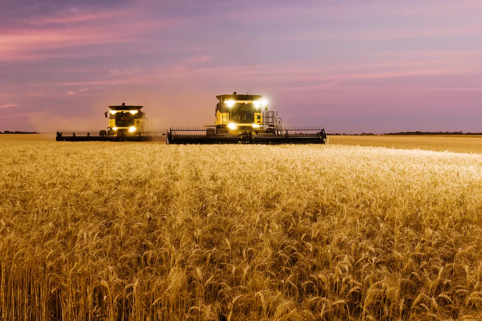 111205_VITERRA_HARVESTING_SUNSET_BALAKLAVA_215.jpg