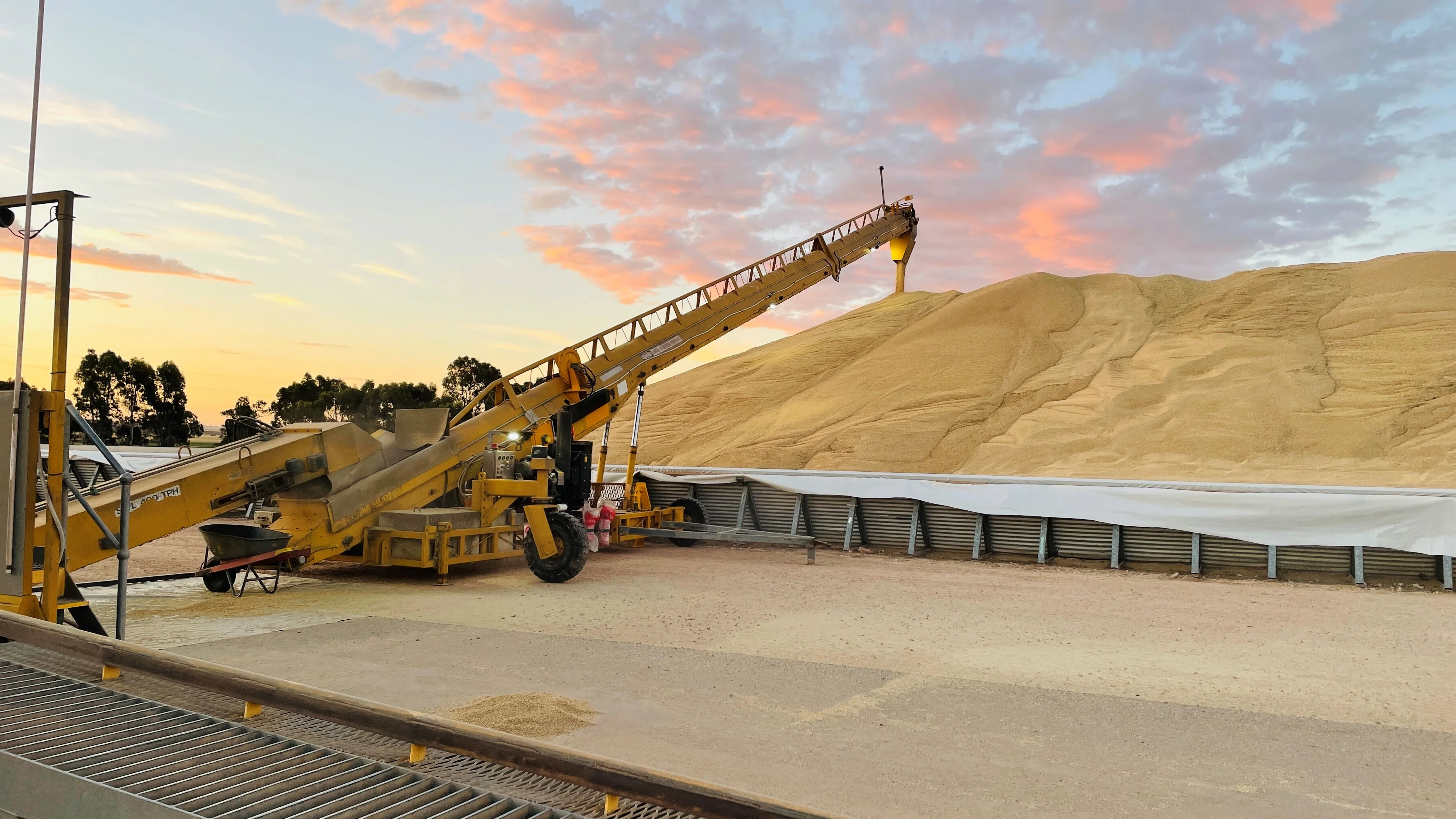 Grain stacking up at Viterra's Gladstone site. 20122021 report.jpg