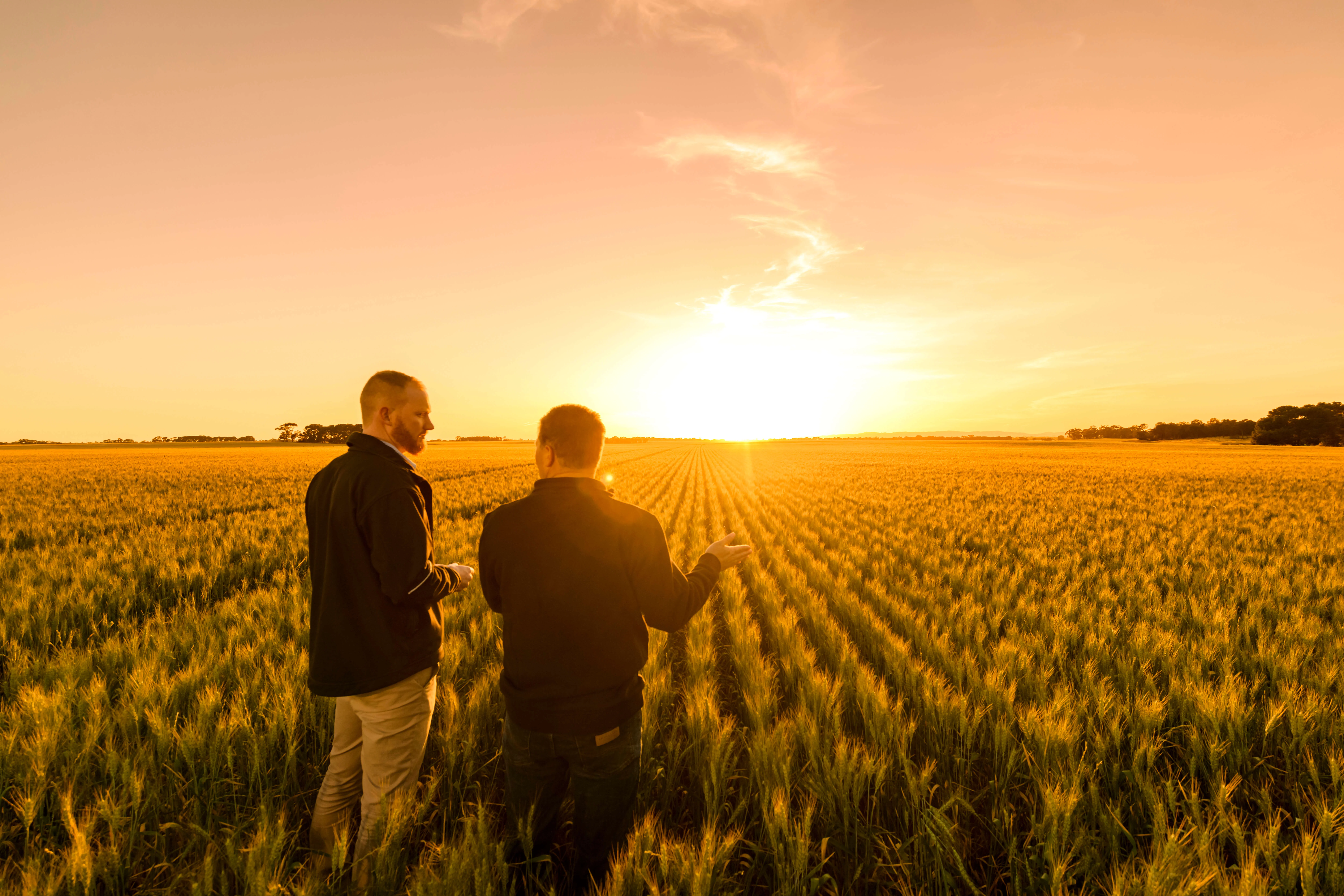 Glencore Agriculture in Australia rebrands to Viterra Glencore Agriculture in Australia rebrands to Viterra