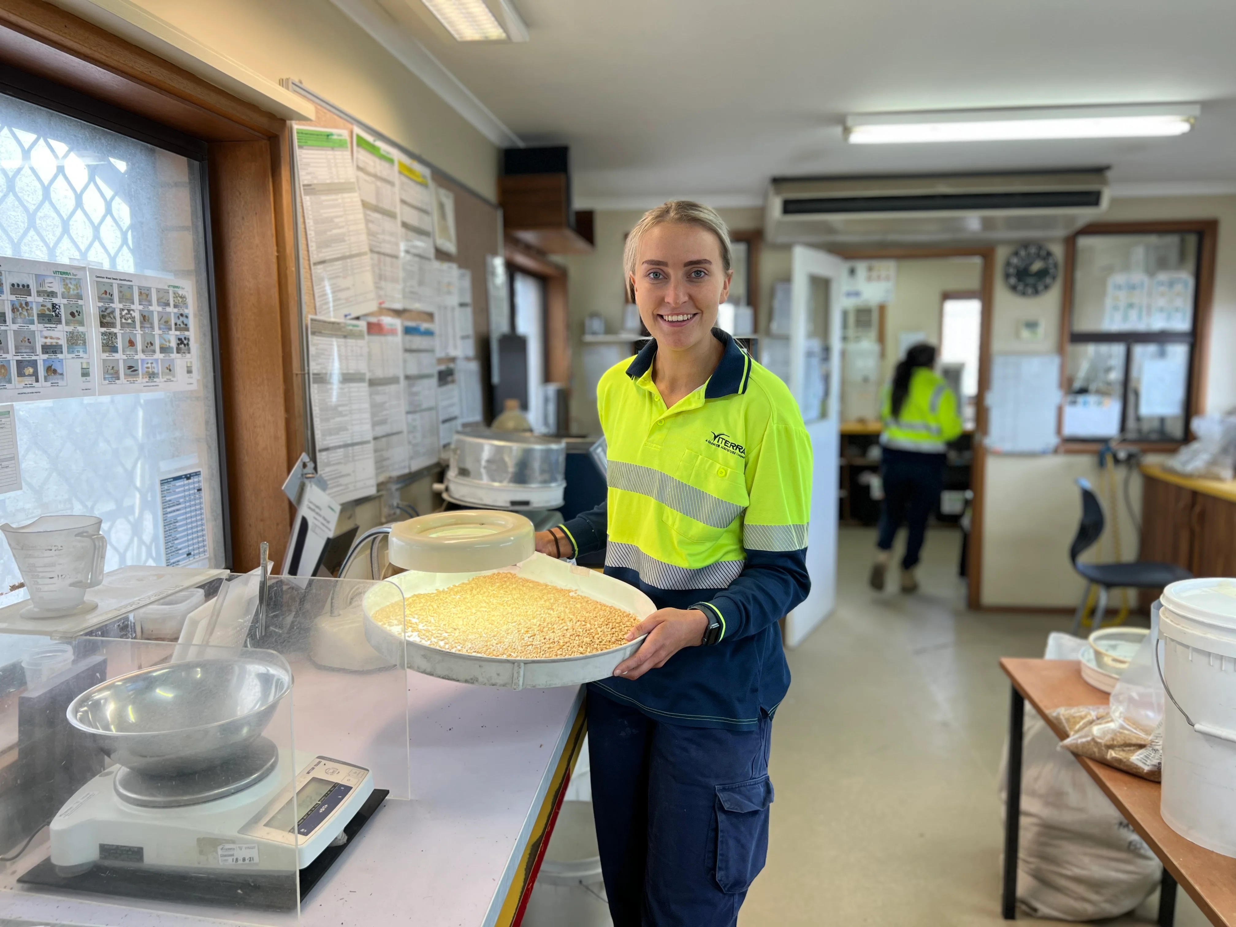 Viterra harvest worker Alana Kahl inspecting wheat 220803 news.jpeg