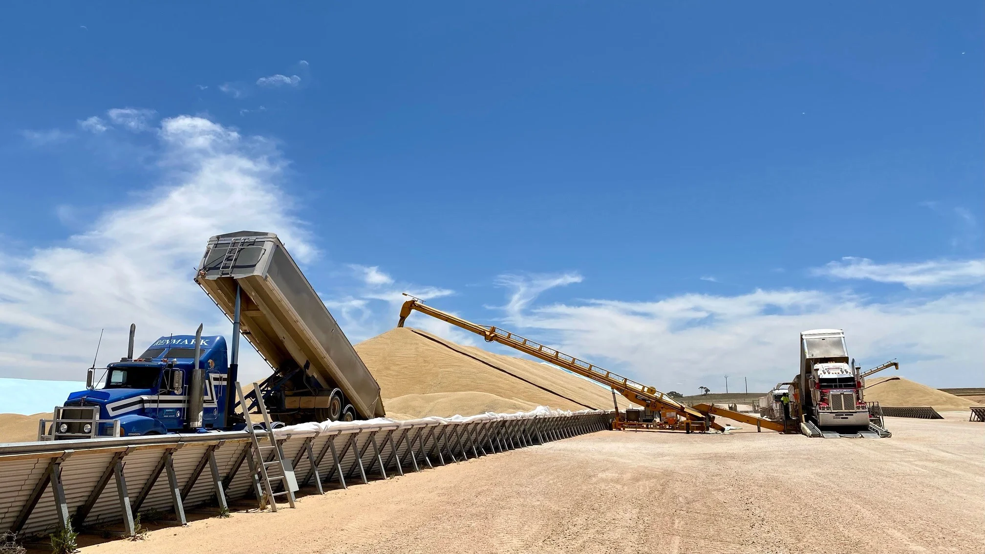 Grain deliveries at Viterra Loxton 221220 report.jpg