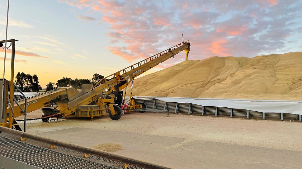 Grain stacking up at Viterra's Gladstone site.