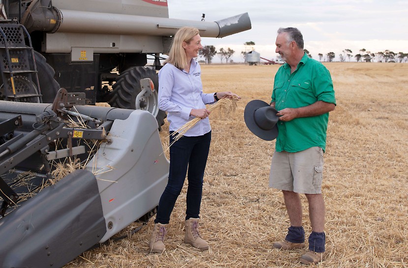 Growers sell directly to our grain merchants