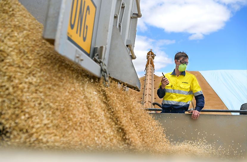 We store grain, maintaining its quality and ensuring it is available when customers need it